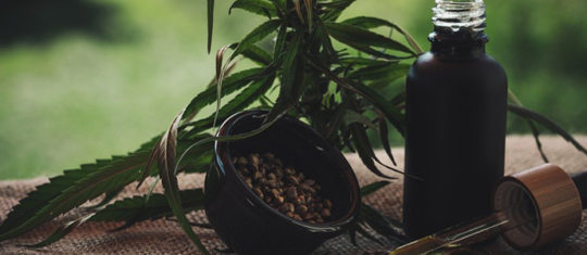 Weeds.health la plateforme du cannabis thérapeutique