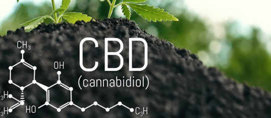 molécule du cannabidiol