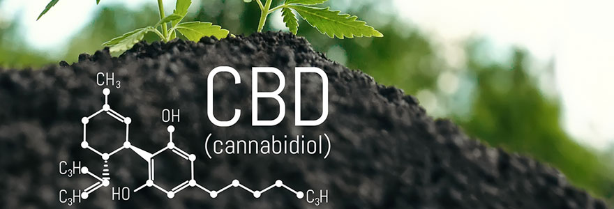 molécule du cannabidiol