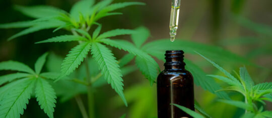 CBD